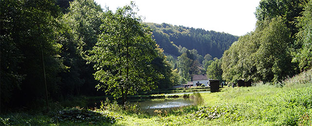 Blick von der Ölmühle auf die Mühlenteiche an der Kornmühle