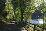 Waldweg an der Fürwiggetalsperre oberhalb der Staumauer