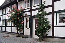 Fachwerkhäuser mit Rosensträuchern am Loerbach in Soest