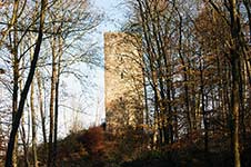 Die Ruine Waldenburg hoch über dem Biggesee bei Attendorn