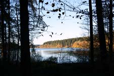 Spätherbst an der Bruchertalsperre bei Marienheide