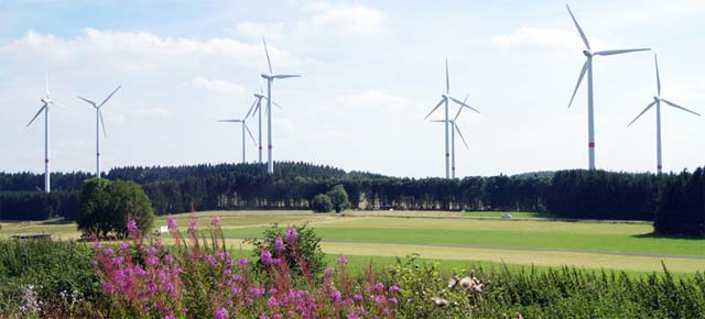 Blick von der Fuchskauten-Scheune auf den Windpark