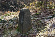 Alter Grenzstein am Holzhauer Schlag