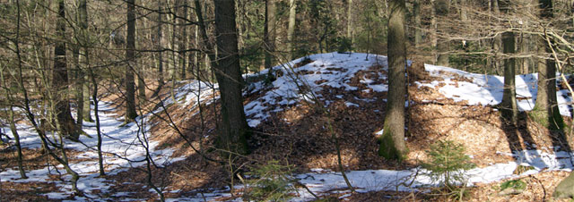 "Alte Schanze / Dicker Schlag" bei Hohenhain