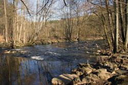 Die Nister unterhalb der Abtei Marienstatt