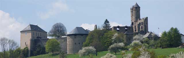 Blick auf Burg Greifenstein