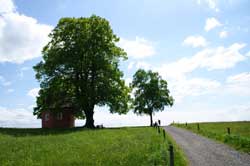 Die „Rote Kapelle“ am Lindchen