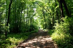 Der Pilgerweg bei Abbenroth