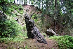 Kindelsbergpfad Station 8: „Grube Stahlberg“