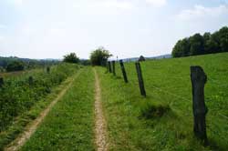 Pilgerweg in Richtung Unterbierenbach