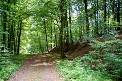 Die alte Fernstraßentrasse unterhalb des Krombacher Schlags