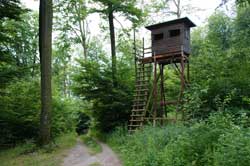 Hochsitz auf dem Burgberggipfel