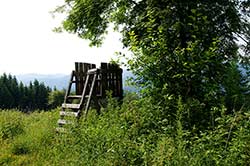 Aussichtsplatz am Rundweg Lennestadt oberhalb von Saalhausen