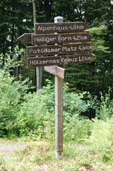 Wanderwegweiser oberhalb von Saalhausen