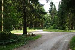 Wegekreuzung zwischen Wollberg und Riemen