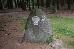 Dreiherrnstein auf dem Rothaarkamm