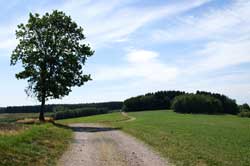 Panorama-Höhenweg Belmicke