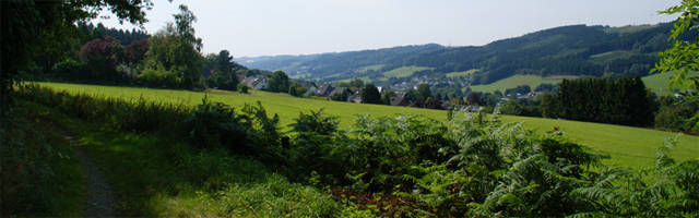 Blick vom Rheinischen Weg auf Hülsenbusch