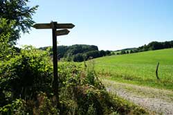 Wegezeiger oberhalb der Ruine Neuenberg