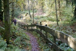 Der Steinhauerpfad auf dem Lindlarer Brungerst