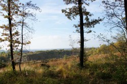 Der Steinhauerpfad auf dem Lindlarer Brungerst