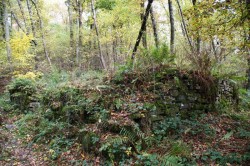 Der Steinhauerpfad auf dem Lindlarer Brungerst