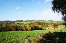 Der Wanderweg zwischen Oberlinde und Obersülze