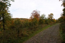 Blick über das NSG Hohlsterzenbach