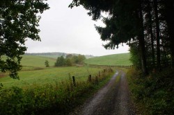 Wanderweg A2 Richtung Oberbüschem