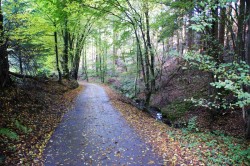 Wanderweg A3 entlang eines Siefen Richtung Hartegasse