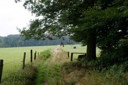 Der Wanderweg A2/A4 hinter zum Flosbach