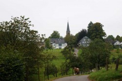 Blick auf den Kapellenberg in Thier