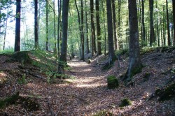 Landwehr am Wanderparkplatz Wigrow