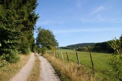 Blick über den Weidekampen zum Wimberg