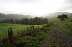 Lindlarer Rundweg mit Blick auf Kaufmannsommer