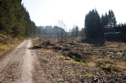 Das Naturschutzgebiet Dollenbruch im Süden von Silberg