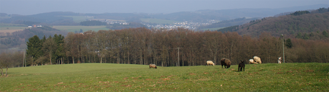 Aussicht am Overather Pilgerweg in Weißenstein