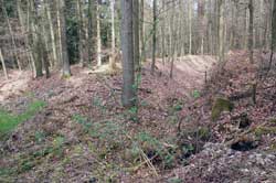 Hohlwegbündel im Fröhninger Holz nach Bottenbach