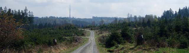 Dreifichtenweg mit Blick auf den Sender Ederkopf