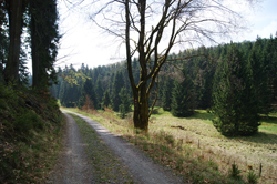 Rothaarsteig entlang der Ederaue