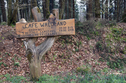 Uriger Wegweiser zum Café Waldland im Forsthaus Hohenroth