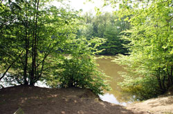 Kettners Weiher im Königsforst