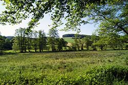 Das Naafbachtal bei Halzemich