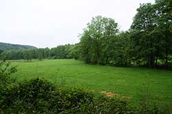 Die Wahnbachaue zwischen dem Mucher Walkweiher und Roßbruch