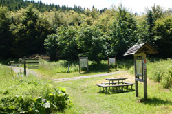 Frühstücksplatz am Schusterknapp