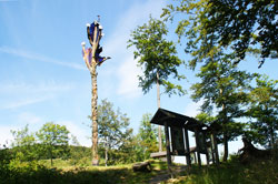 Feuereiche auf der Rhein-Weser-Wasserscheide