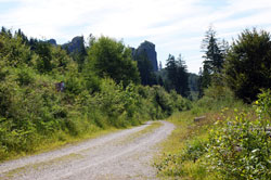 Der Rothaarsteig unterhalb der Bruchhauser Steine