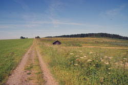 Die alte Heidenstraße zwischen Küstelberg und Wagenschmier