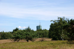 Blick über die Hochheide auf den Astenturm