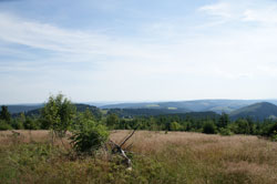 Blick vom Südhang des Kahlen Asten auf die Höhendörfer Lenneplätze und Langewiese